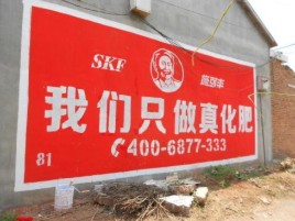 淅川刷墙广告”蕴含了时代命题