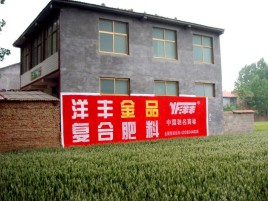 淅川如何让墙体广告展现最大化效果