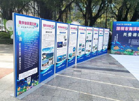 淅川KT板的种类和知识。